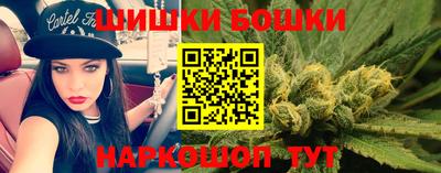 Альфа ПВП Малгобек